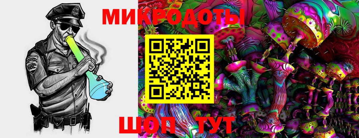 Псилоцибиновые грибы мухоморы Алапаевск